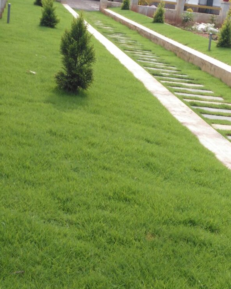 Commercial Exterior 4